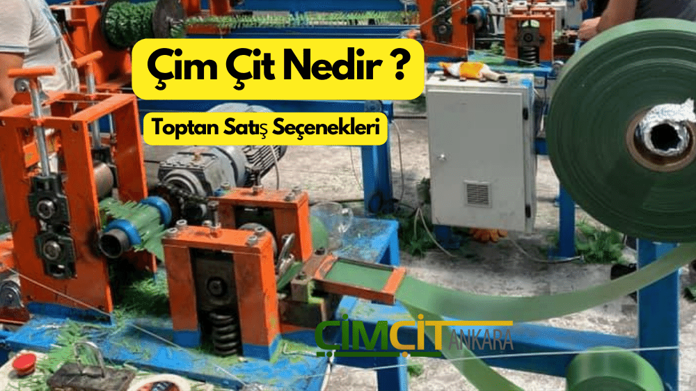 ÇİM ÇİT Detayları